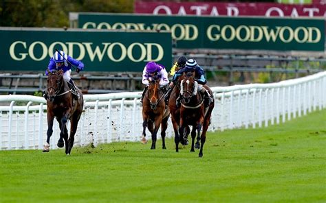 Goodwood Horse Racing Betting Tips & Latest Odds .